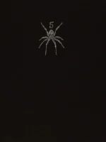 Sp5der Spider-Embellished T-Shirt